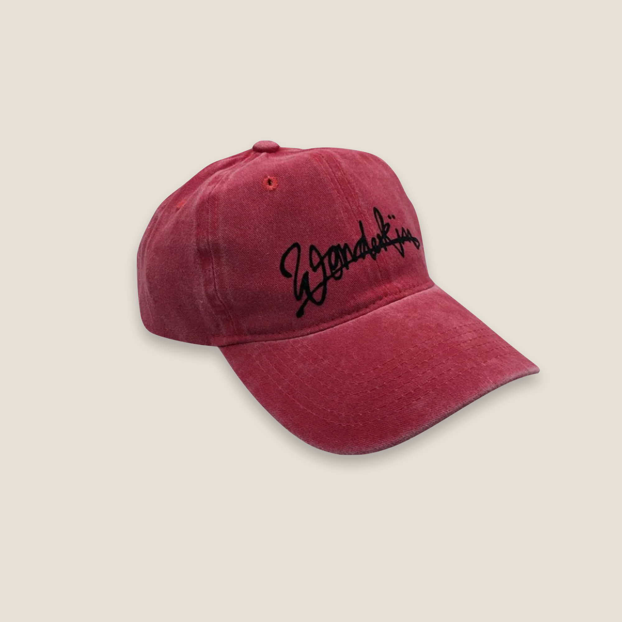 THE POP VINTAGE STREET LOGO CAP // red & black