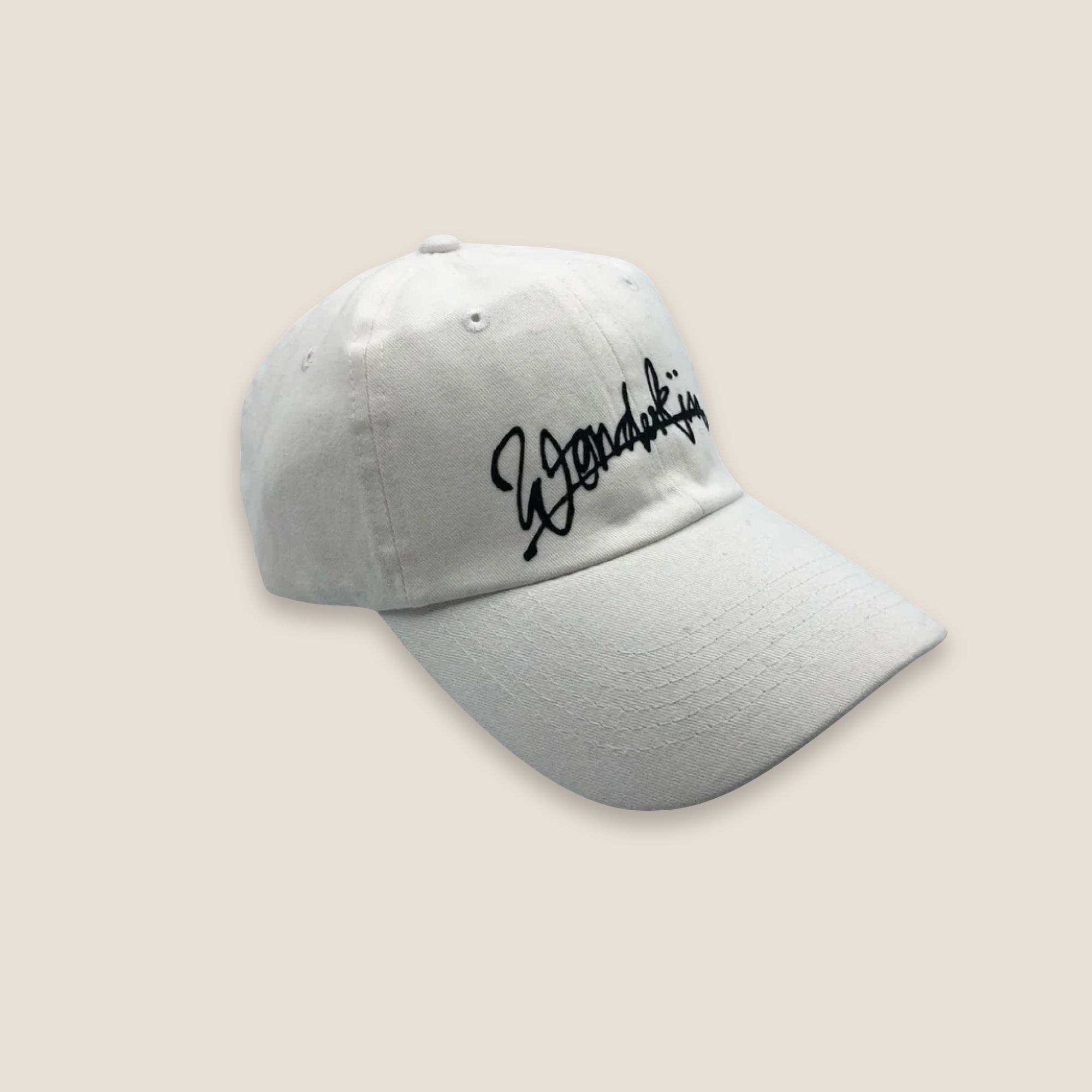 THE POP VINTAGE STREET LOGO CAP // white & black