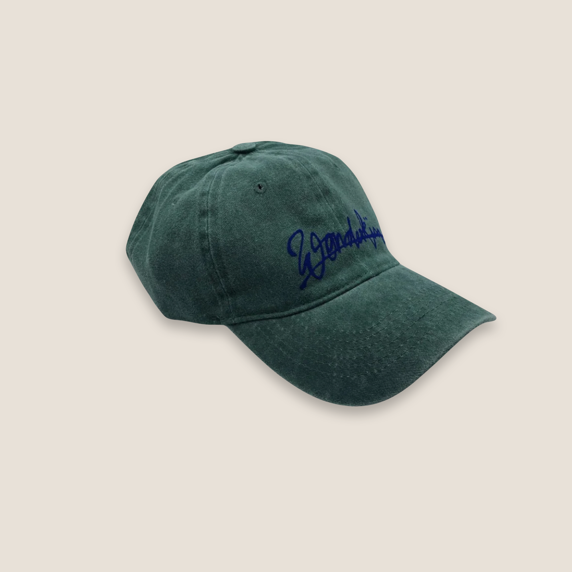 THE POP VINTAGE STREET LOGO CAP // green & dark blue