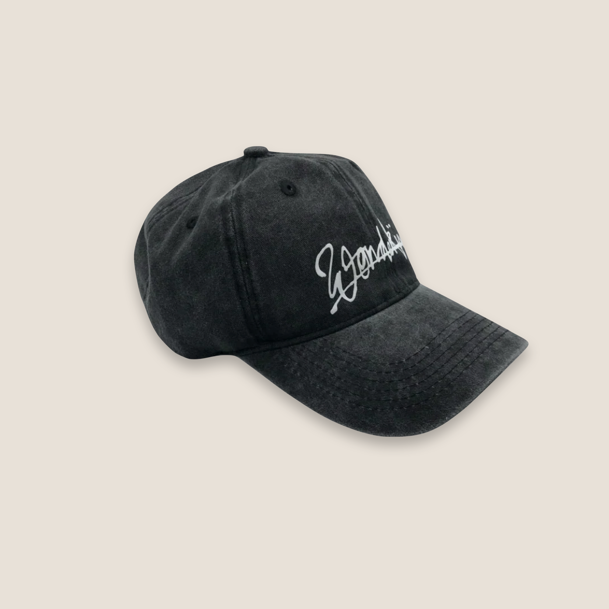 THE POP VINTAGE STREET LOGO CAP // black & white