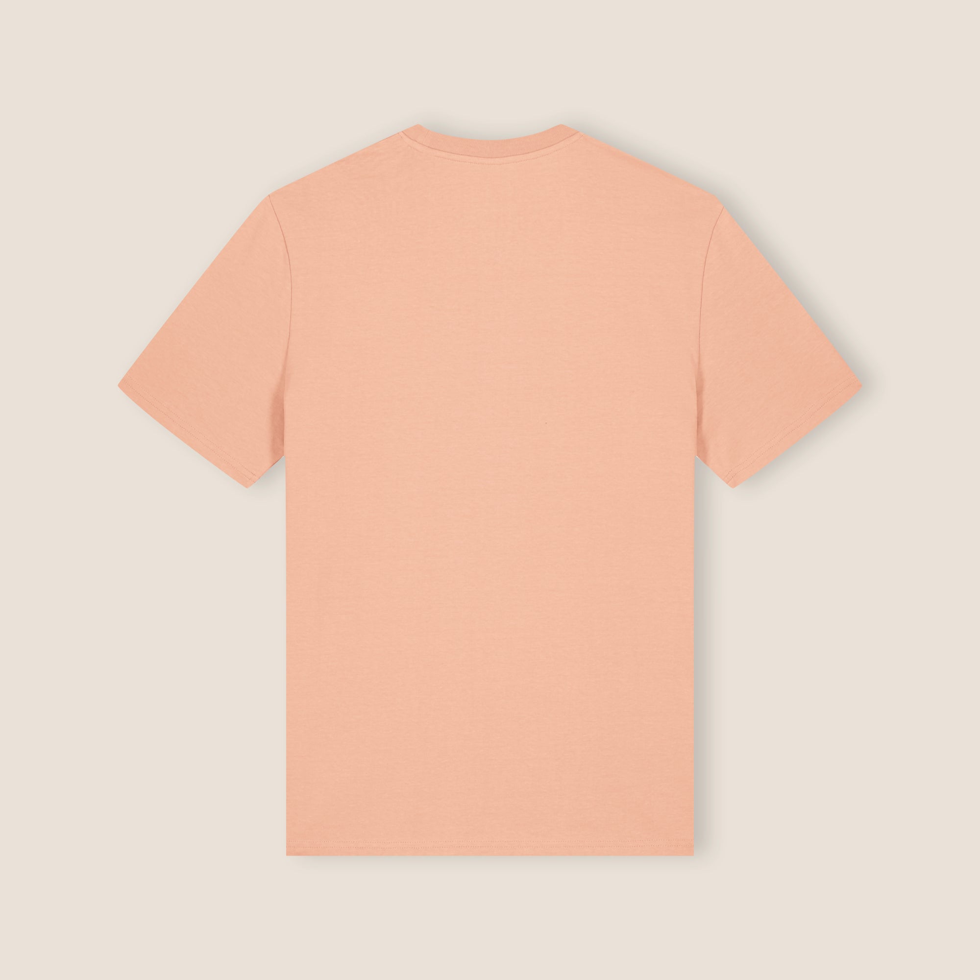 THE POP SIGNATURE TEE 180 // peach & anthracite