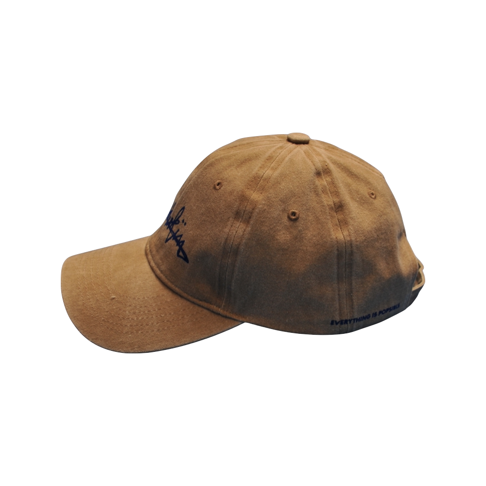 THE POP VINTAGE STREET LOGO CAP // brown & black