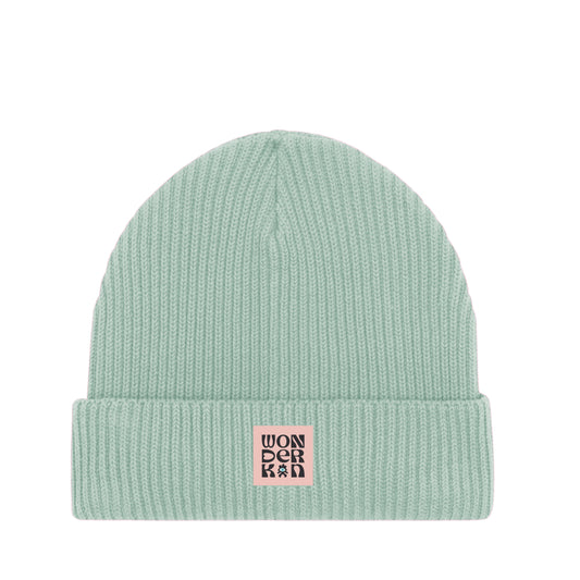 THE POP BEANIE // aloe