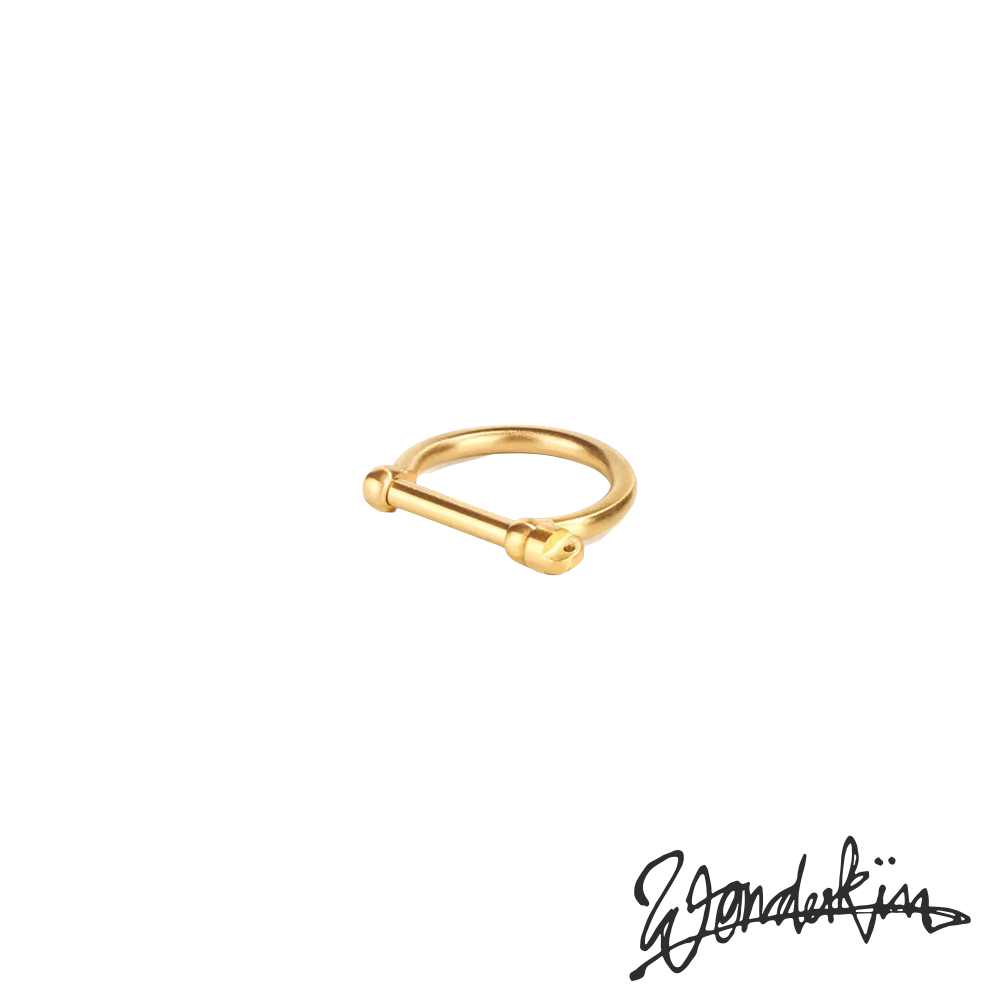 THE POP OFF D LOCK RING // gold