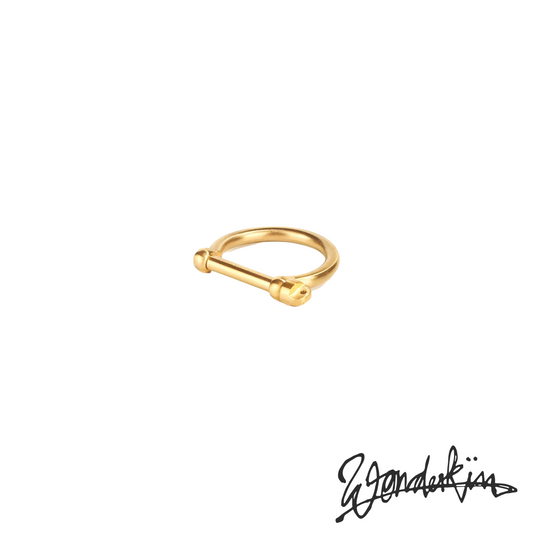 THE POP OFF D LOCK RING // gold