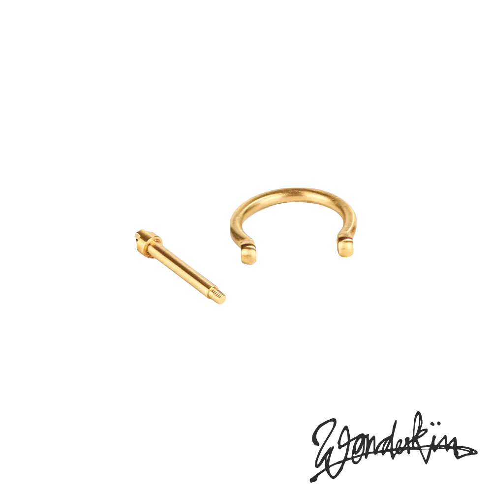 THE POP OFF D LOCK RING // gold