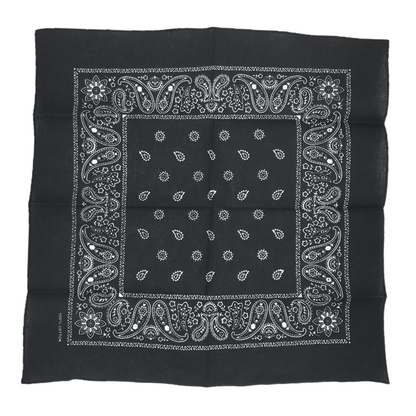 THE POP PAISLEY BANDANA