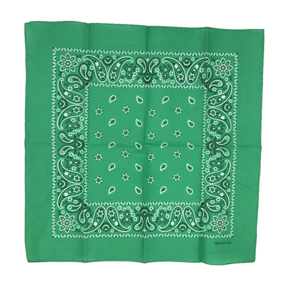 THE POP PAISLEY BANDANA