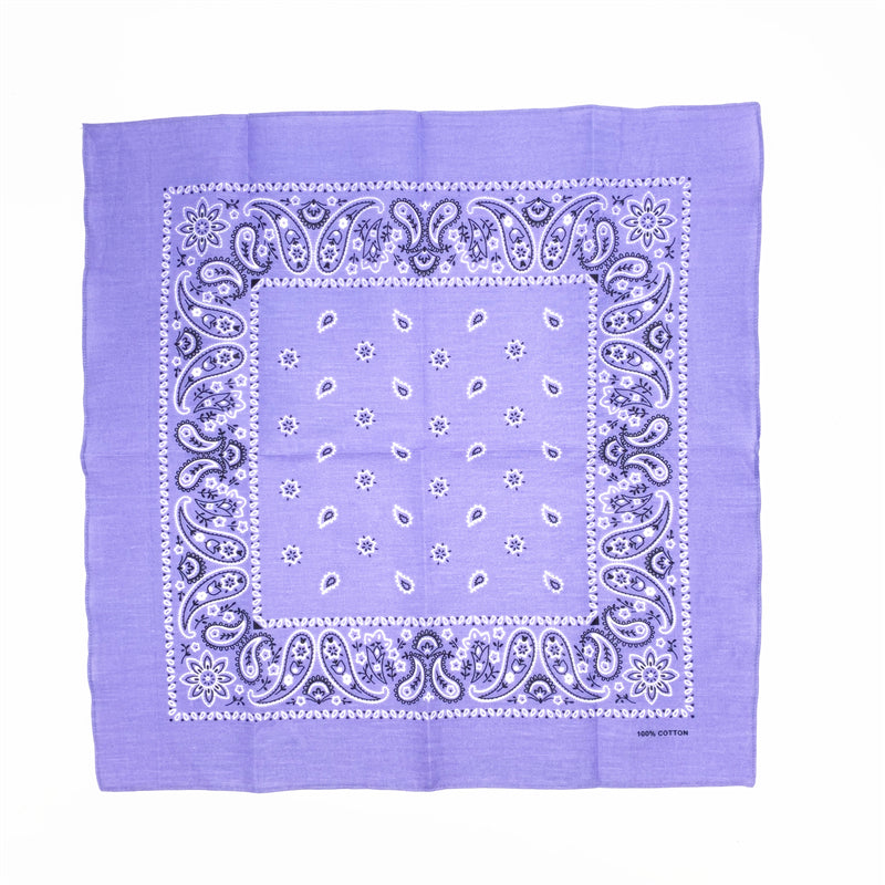 THE POP PAISLEY BANDANA