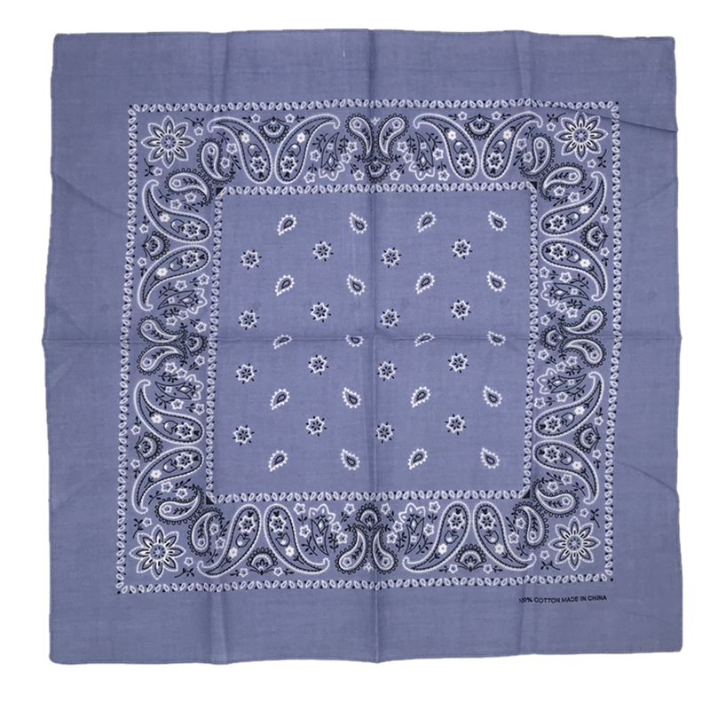 THE POP PAISLEY BANDANA