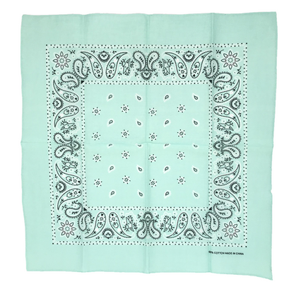 THE POP PAISLEY BANDANA