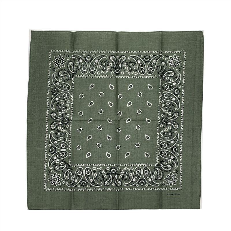 THE POP PAISLEY BANDANA