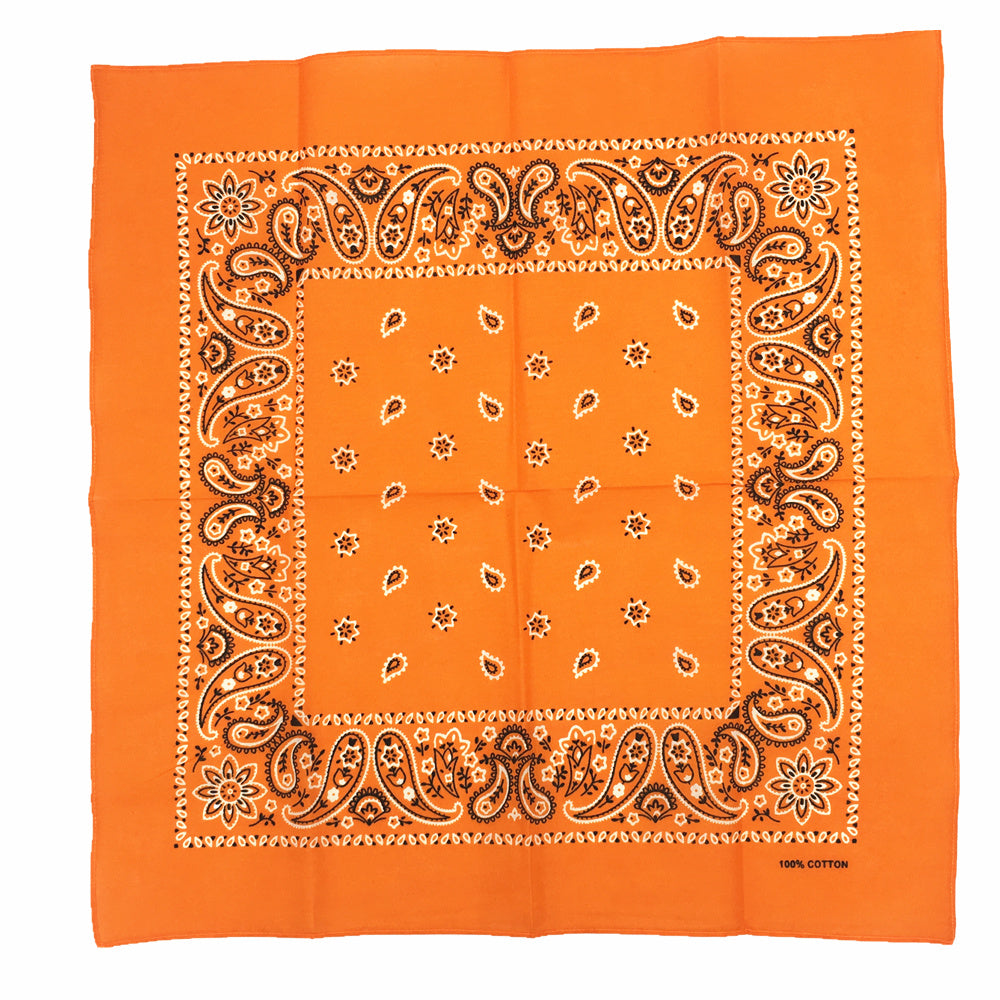 THE POP PAISLEY BANDANA