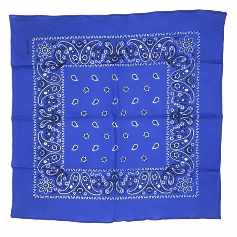 THE POP PAISLEY BANDANA