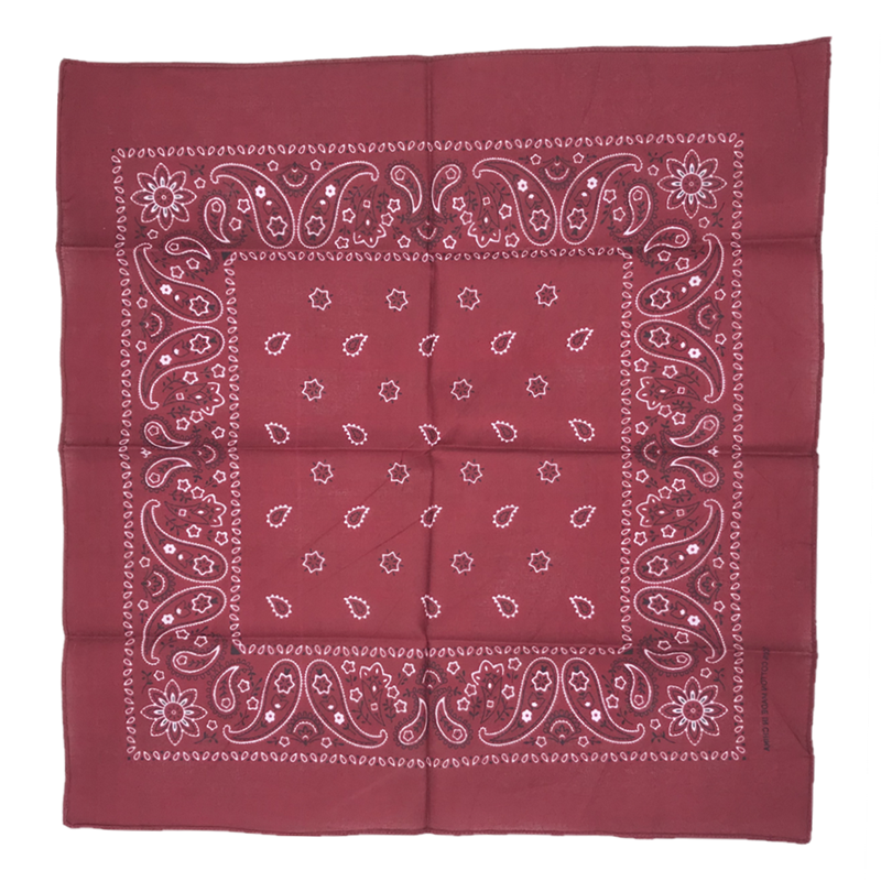 THE POP PAISLEY BANDANA