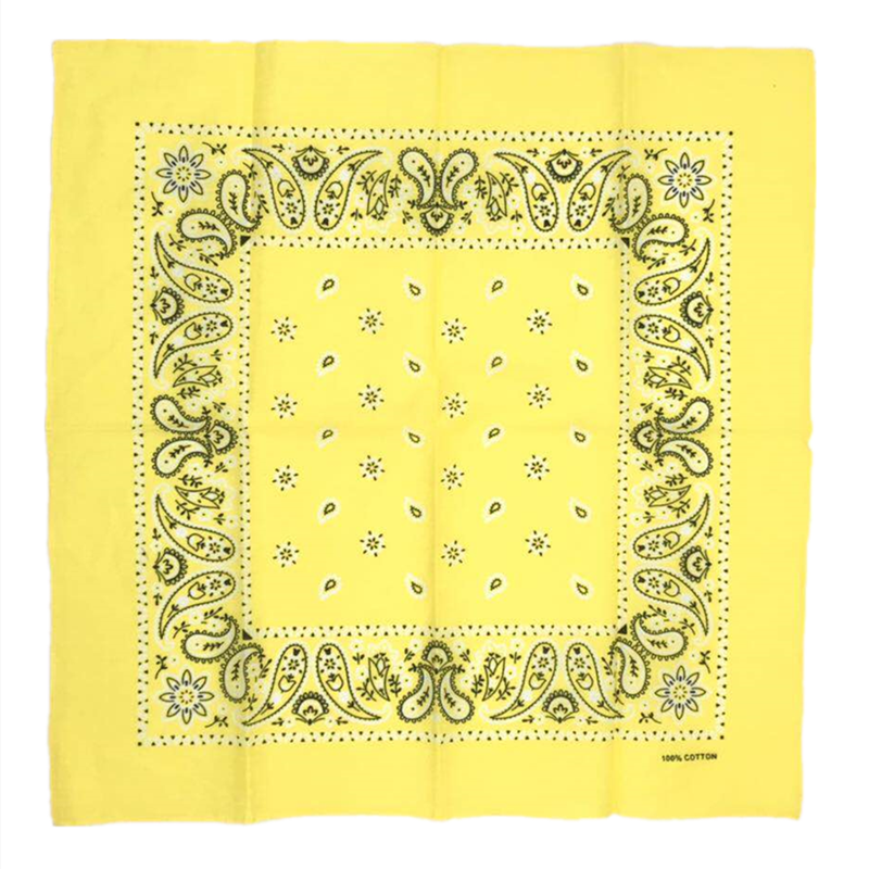 THE POP PAISLEY BANDANA