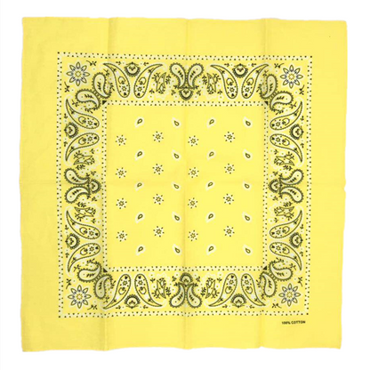 THE POP PAISLEY BANDANA